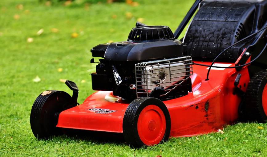 Affordable Lawn Care	